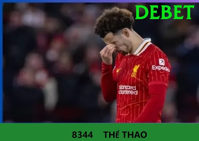 Cá Cược Thể Thao - Ưu đãi đặc biệt - Xếp hạng